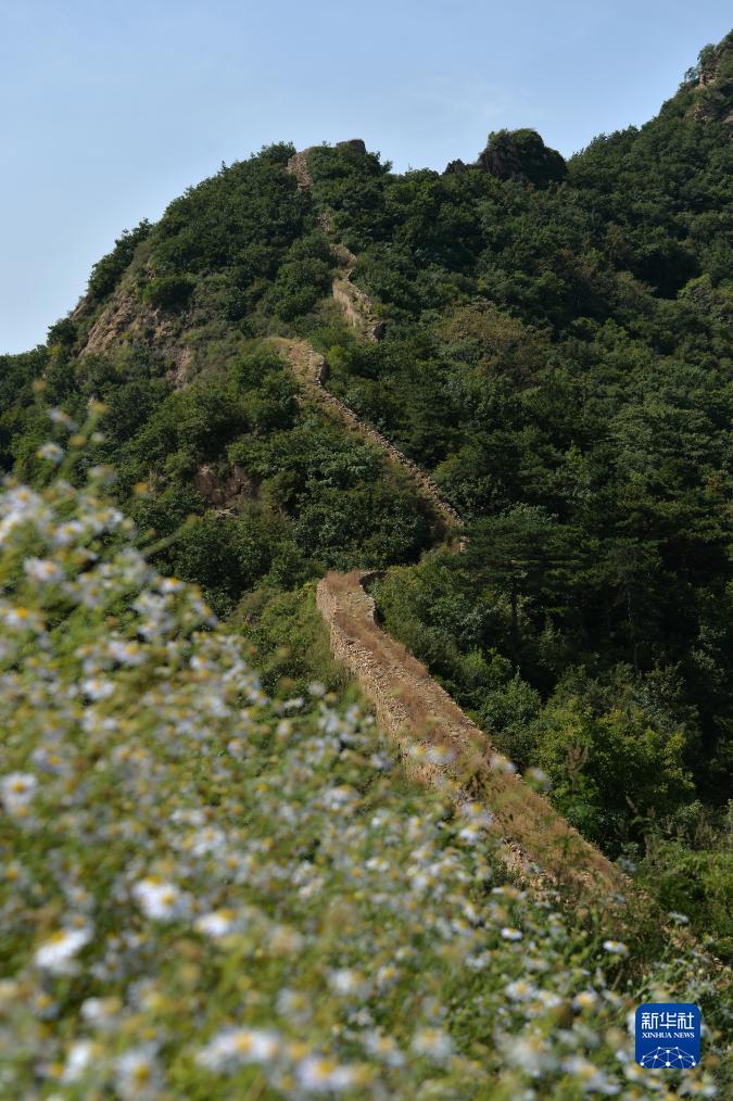 真钱炸金花软件
